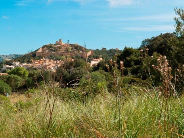 Bauplatz zu verkaufen in Capdepera - 1.250.000 € (Ref: 5801329)