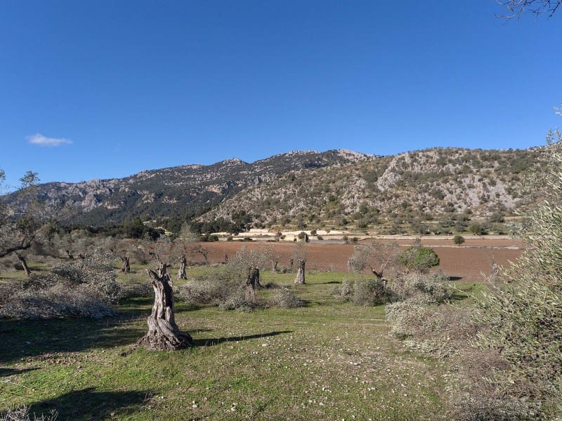 5 soveværelse Finca/Landehus til salg i Orient - € 1.490.000 (Ref: 5801348)