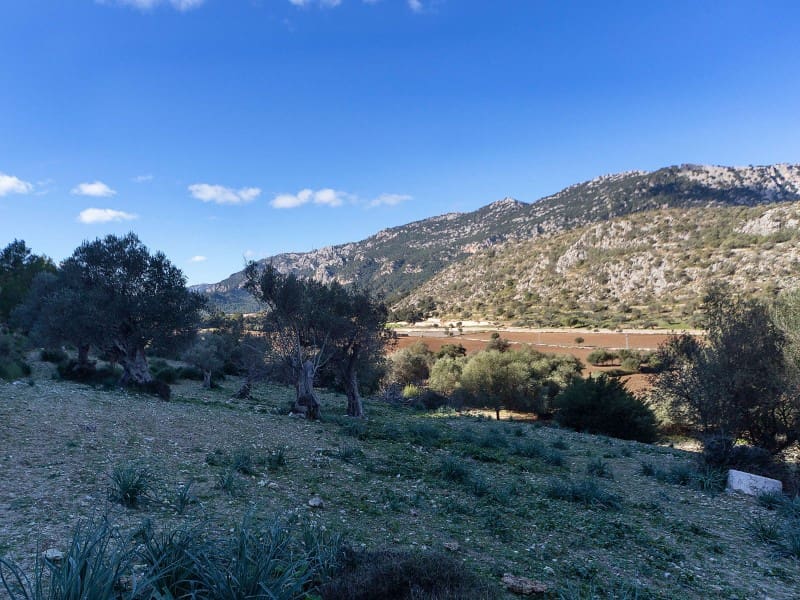 5 soveværelse Finca/Landehus til salg i Orient - € 1.490.000 (Ref: 5801348)