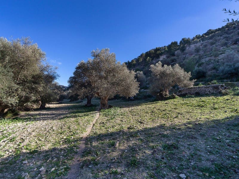 5 soveværelse Finca/Landehus til salg i Orient - € 1.490.000 (Ref: 5801348)