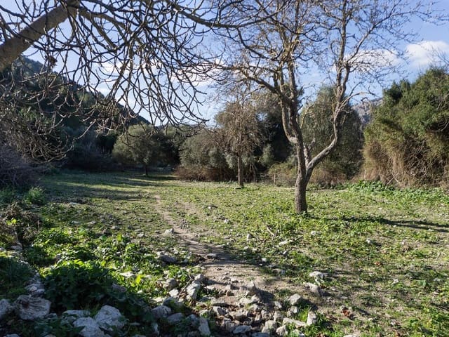 5 soveværelse Finca/Landehus til salg i Orient, Bunyola - € 1.490.000 (Ref: 5801348)