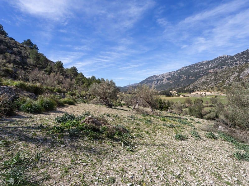 5 soveværelse Finca/Landehus til salg i Orient - € 1.490.000 (Ref: 5801348)