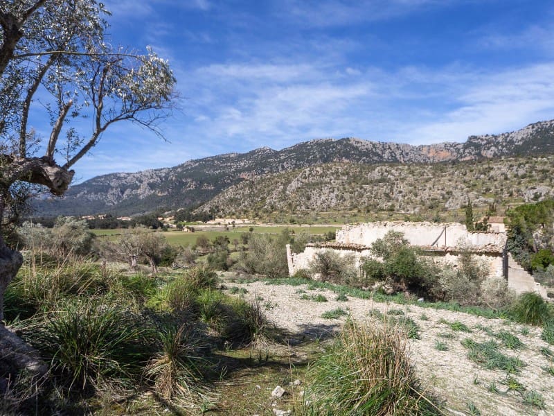 5 soveværelse Finca/Landehus til salg i Orient - € 1.490.000 (Ref: 5801348)