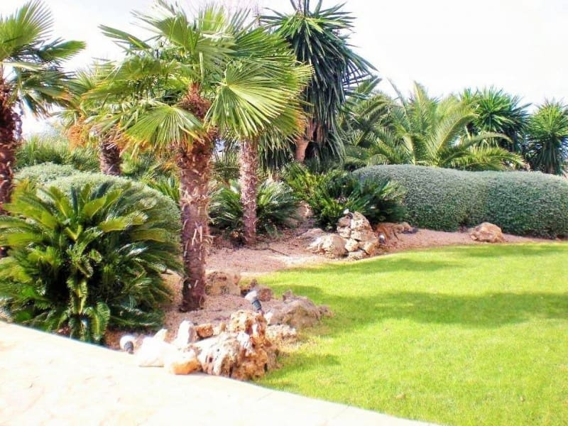 5 camera da letto Finca/Casa di Campagna in vendita in Petra con piscina - 2.300.000 € (Rif: 5809111)