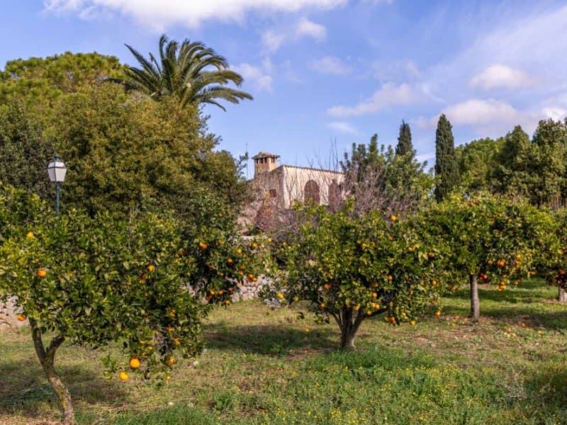 9 quarto Quinta/Casa Rural para venda em Binissalem com piscina garagem - 5 500 000 € (Ref: 5816039)