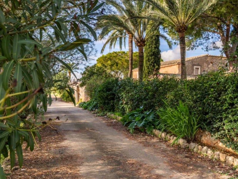 9 quarto Quinta/Casa Rural para venda em Binissalem com piscina garagem - 5 500 000 € (Ref: 5816039)