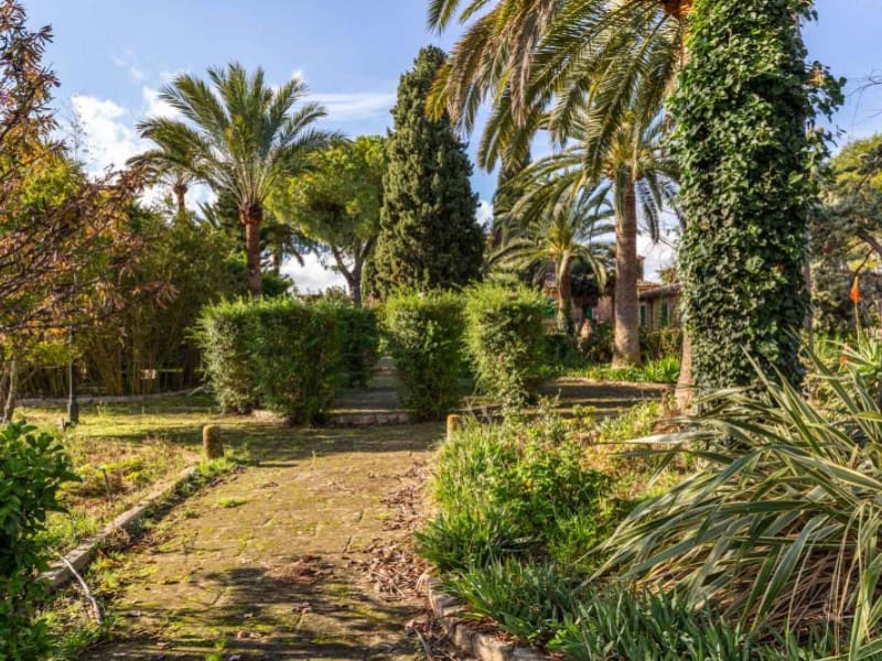 9 quarto Quinta/Casa Rural para venda em Binissalem com piscina garagem - 5 500 000 € (Ref: 5816039)