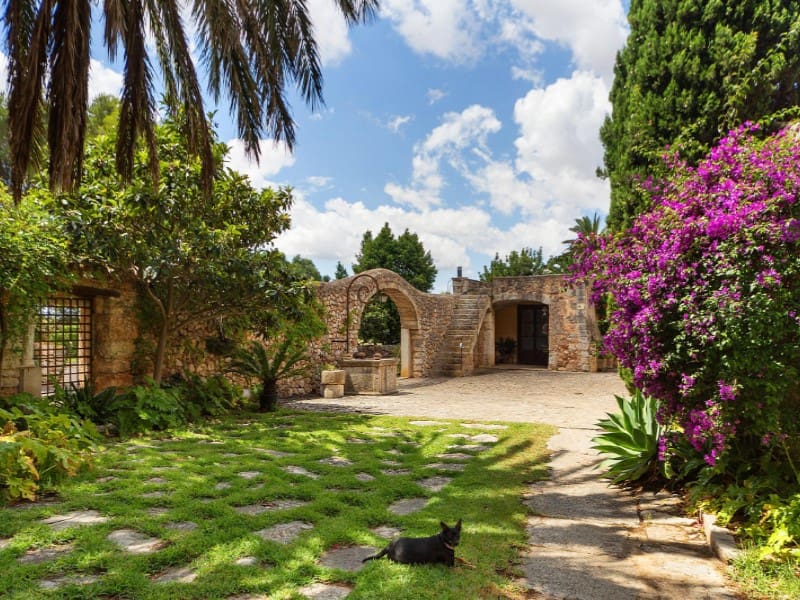 9 quarto Quinta/Casa Rural para venda em Binissalem com piscina garagem - 5 500 000 € (Ref: 5816039)