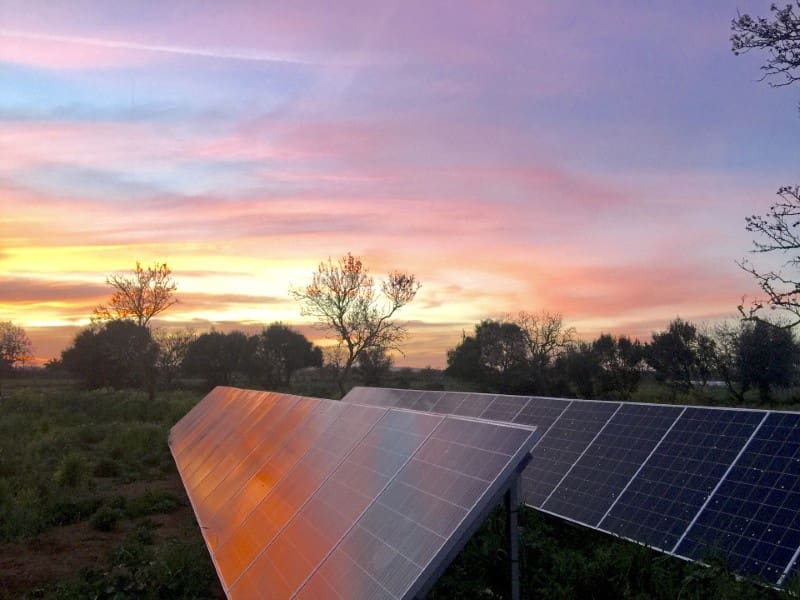 5 chambre Finca/Maison de Campagne à vendre à Campos avec piscine - 2 150 000 € (Ref: 5825414)