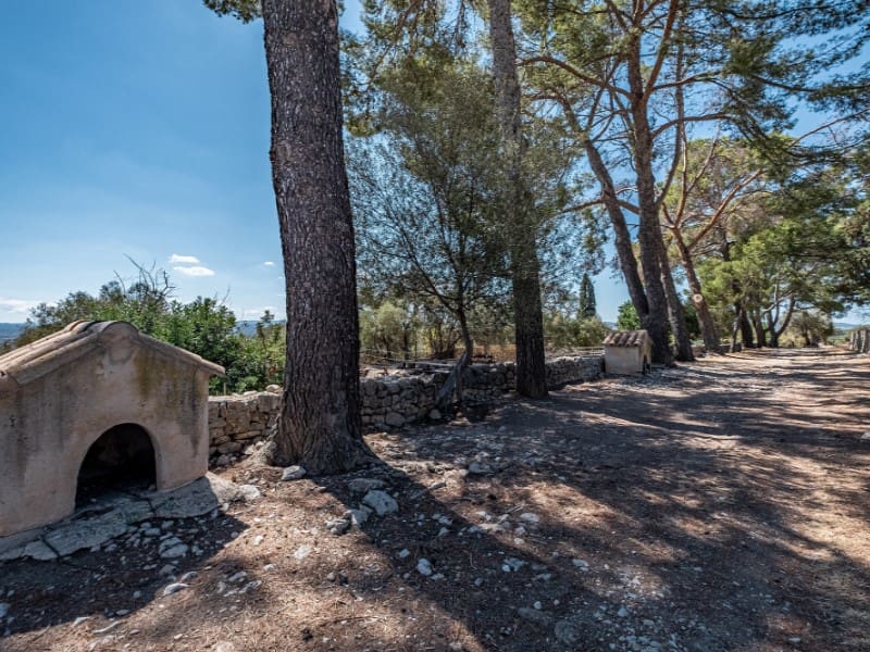 10 soveværelse Finca/Landehus til salg i Binissalem med swimmingpool garage - € 4.500.000 (Ref: 5987897)