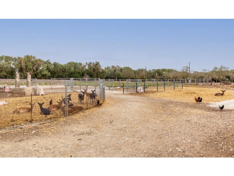 7 soveværelse Finca/Landehus til salg i Lloret de Vista Alegre med swimmingpool - € 3.800.000 (Ref: 6226761)