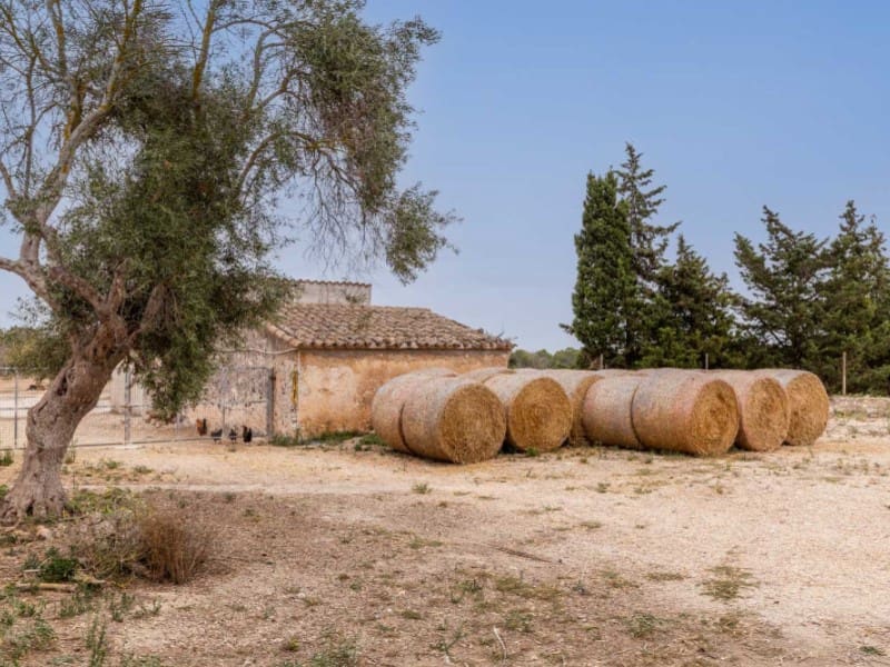 7 soveværelse Finca/Landehus til salg i Lloret de Vista Alegre med swimmingpool - € 3.800.000 (Ref: 6226761)