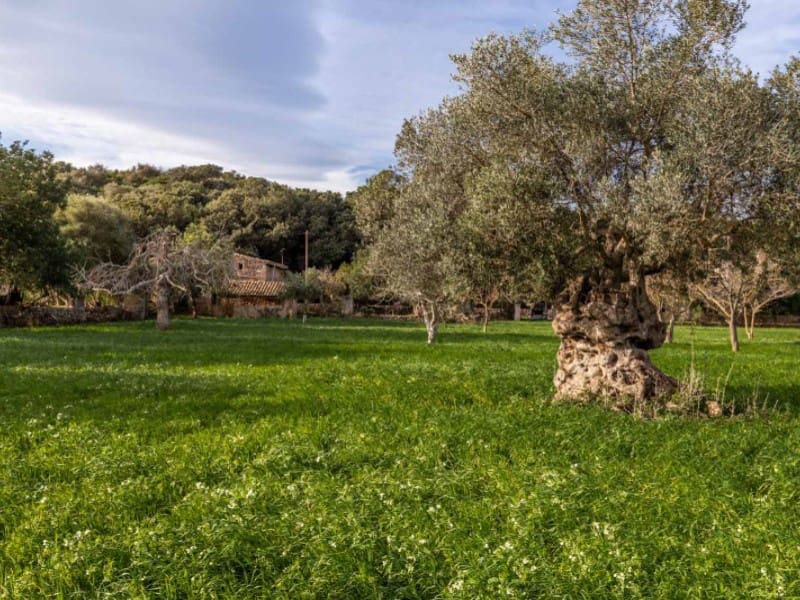4 soveværelse Finca/Landehus til salg i Pollensa / Pollenca med garage - € 890.000 (Ref: 6445030)