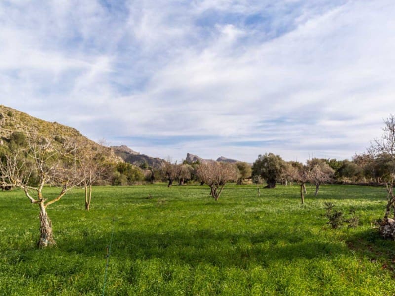 4 soveværelse Finca/Landehus til salg i Pollensa / Pollenca med garage - € 890.000 (Ref: 6445030)