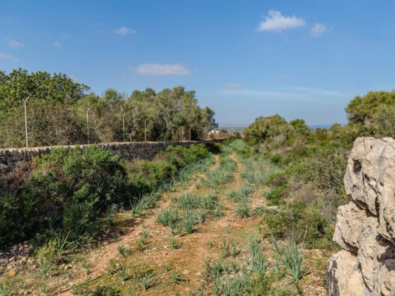 8 sypialnia Finka/Dom wiejski na sprzedaż w Arta z garażem - 7 800 000 € (Ref: 6679110)