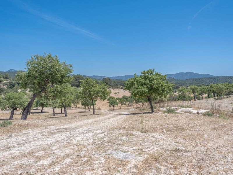 20 slaapkamer Finca/Landhuis te koop in Calvia - € 15.000.000 (Ref: 6846520)