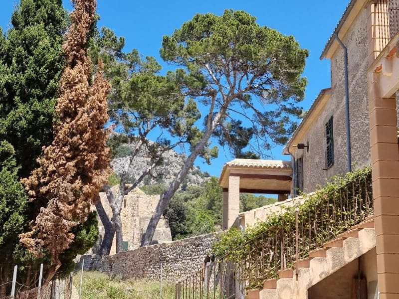 20 slaapkamer Finca/Landhuis te koop in Calvia - € 15.000.000 (Ref: 6846520)