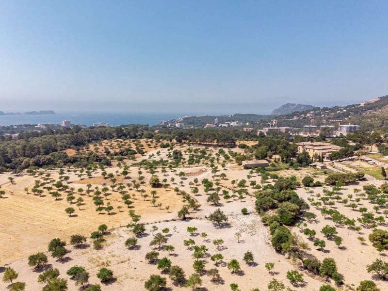 20 slaapkamer Finca/Landhuis te koop in Calvia - € 15.000.000 (Ref: 6846520)
