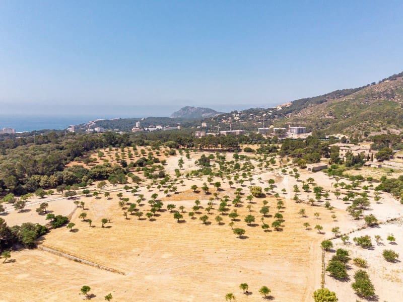 20 slaapkamer Finca/Landhuis te koop in Calvia - € 15.000.000 (Ref: 6846520)