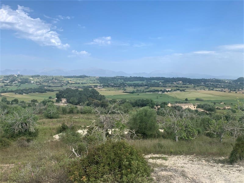 3 soverom Finca/Herregård til salgs i Lloret de Vista Alegre med svømmebasseng - € 2 550 000 (Ref: 6927558)