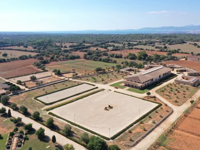 22 soveværelse Finca/Landehus til salg i Llucmajor med swimmingpool - € 25.000.000 (Ref: 6973435)