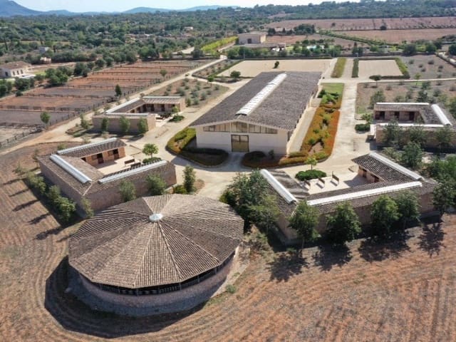 22 soveværelse Finca/Landehus til salg i Llucmajor med swimmingpool - € 25.000.000 (Ref: 6973435)
