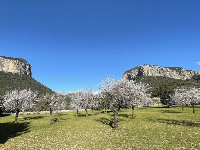 3 bedroom Villa for sale in Alaro with pool garage - € 1,050,000 (Ref: 7001993)