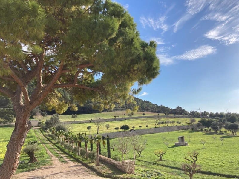 6 quarto Quinta/Casa Rural para venda em Algaida - 2 350 000 € (Ref: 7130285)