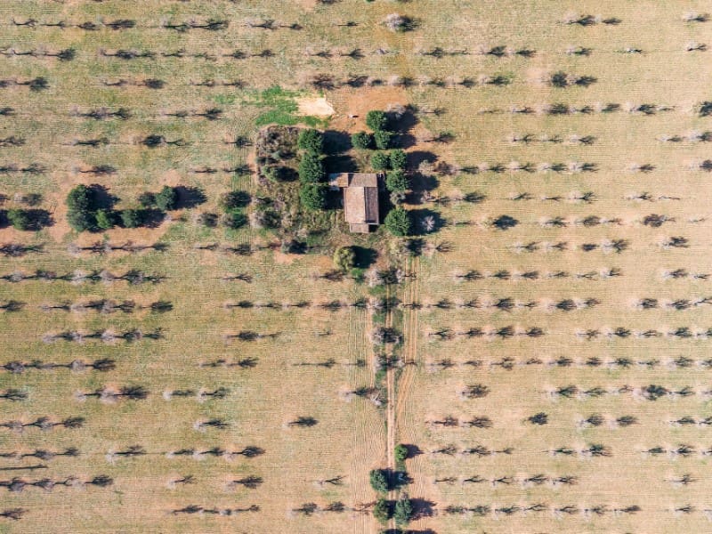 4 soveværelse Finca/Landehus til salg i Binissalem - € 3.500.000 (Ref: 7205121)