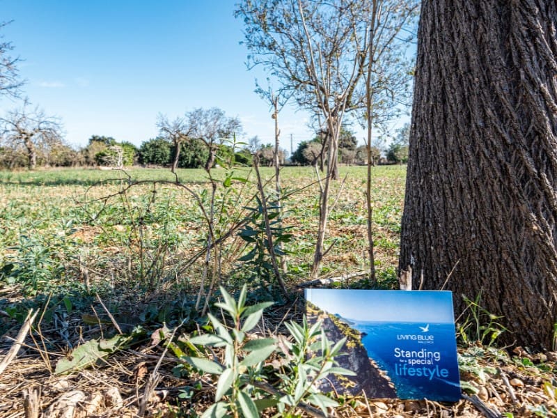 4 soveværelse Finca/Landehus til salg i Binissalem - € 3.500.000 (Ref: 7205121)