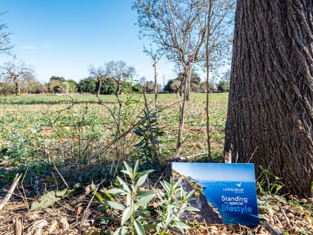 4 sypialnia Finka/Dom wiejski na sprzedaż w Binissalem - 3 500 000 € (Ref: 7205121)