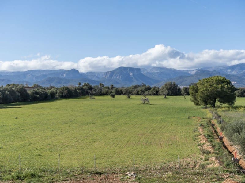 5 slaapkamer Finca/Landhuis te koop in Sencelles met zwembad - € 3.500.000 (Ref: 7331236)