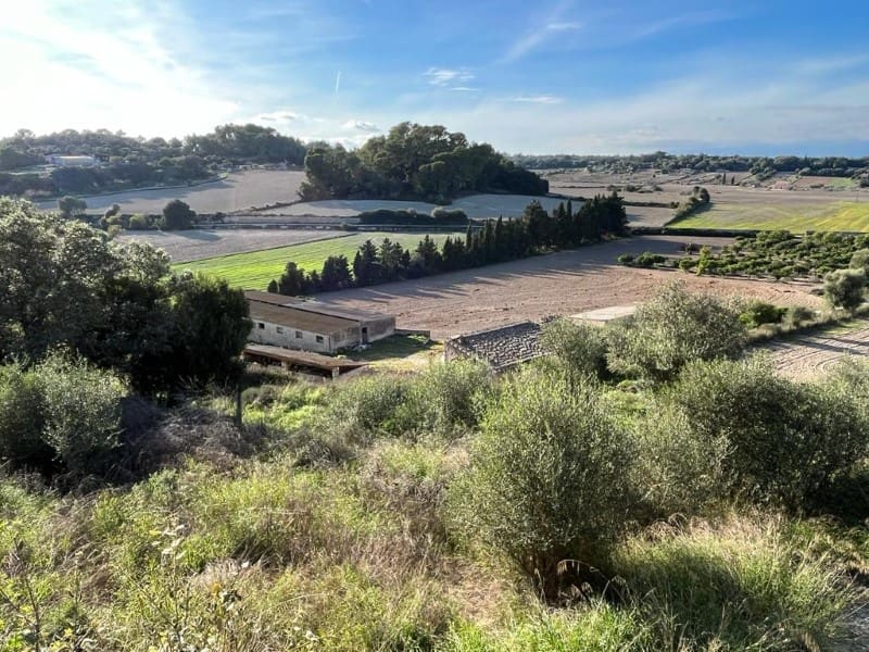 Finca/Landehus til salg i Sineu - € 1.100.000 (Ref: 7353716)