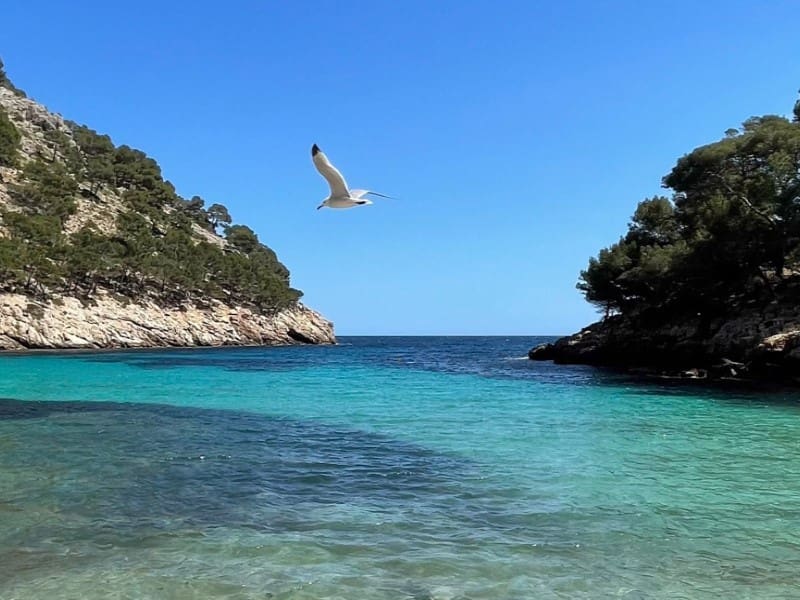 5 soveværelse Villa til salg i Cala Vinyes / Cala Vinyas / Cala Vinas med swimmingpool garage - € 3.250.000 (Ref: 7452137)