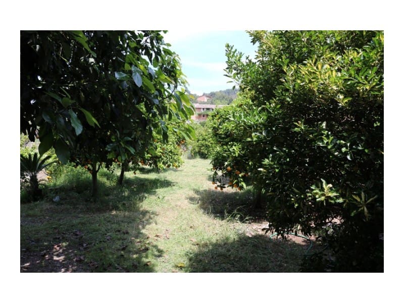 4 Zimmer Finca/Landgut zu verkaufen in Soller - 1.380.000 € (Ref: 7516629)