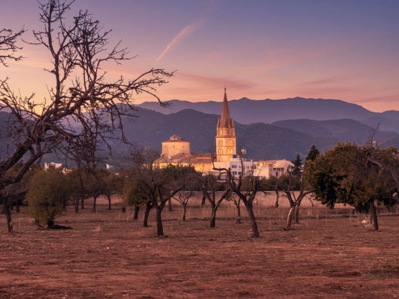 12 soveværelse Finca/Landehus til salg i Binissalem - € 5.200.000 (Ref: 7666023)