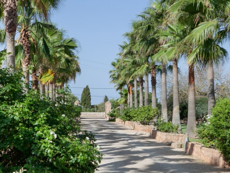 4 chambre Finca/Maison de Campagne à vendre à Algaida avec piscine garage - 2 250 000 € (Ref: 7715632)