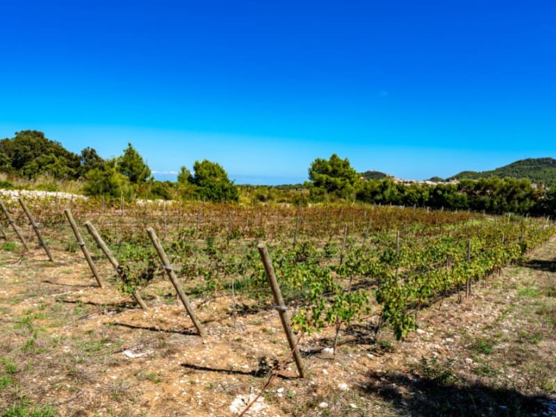 4 soveværelse Finca/Landehus til salg i Capdepera med swimmingpool - € 2.980.000 (Ref: 7775827)