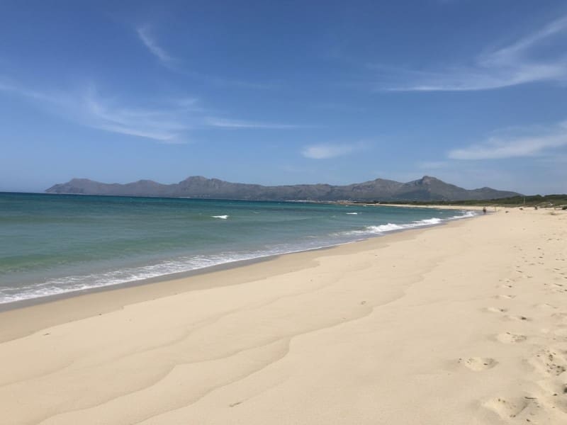 39 soveværelse Hotel til salg i Ca'n Picafort med swimmingpool garage - € 8.500.000 (Ref: 7783139)