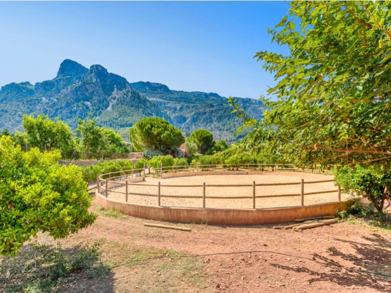 4 slaapkamer Finca/Landhuis te koop in Soller met zwembad - € 5.400.000 (Ref: 7832814)