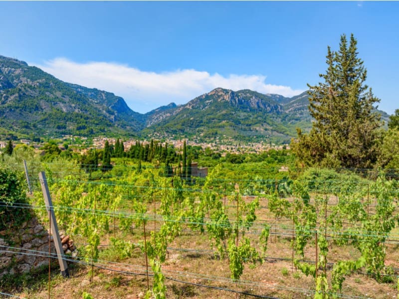4 slaapkamer Finca/Landhuis te koop in Soller met zwembad - € 5.400.000 (Ref: 7832814)