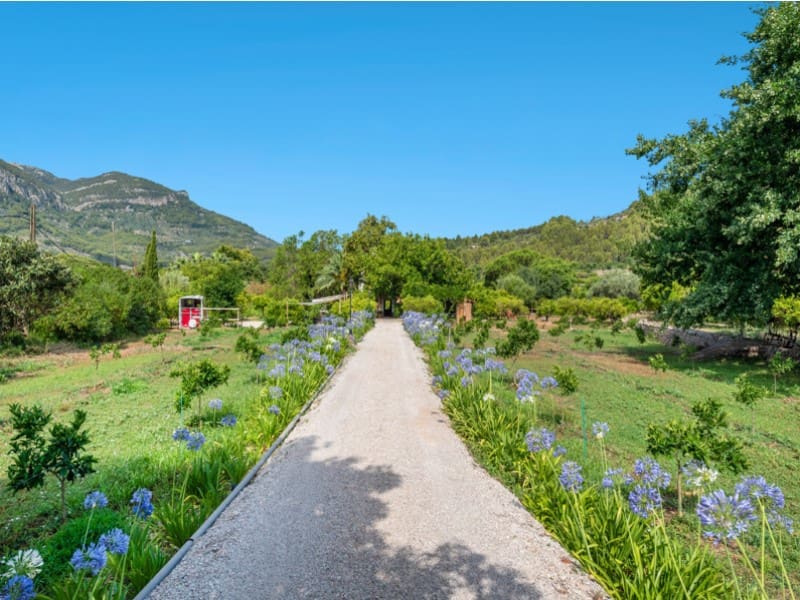 4 slaapkamer Finca/Landhuis te koop in Soller met zwembad - € 5.400.000 (Ref: 7832814)