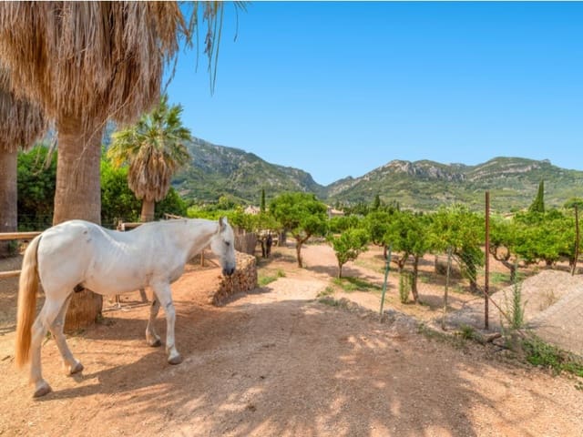 Finca/Casa Rural de 4 habitaciones en Sóller en venta con piscina - 5.400.000 € (Ref: 7832814)