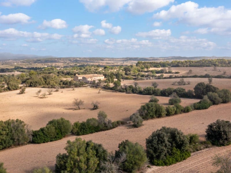 9 soveværelse Finca/Landehus til salg i Algaida - € 4.400.000 (Ref: 7842916)