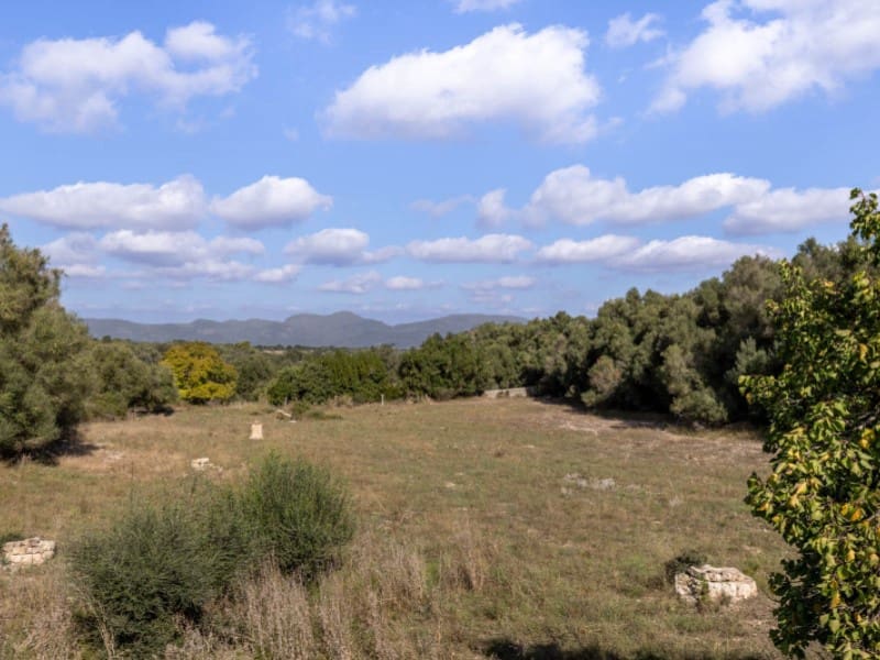 9 soveværelse Finca/Landehus til salg i Algaida - € 4.400.000 (Ref: 7842916)