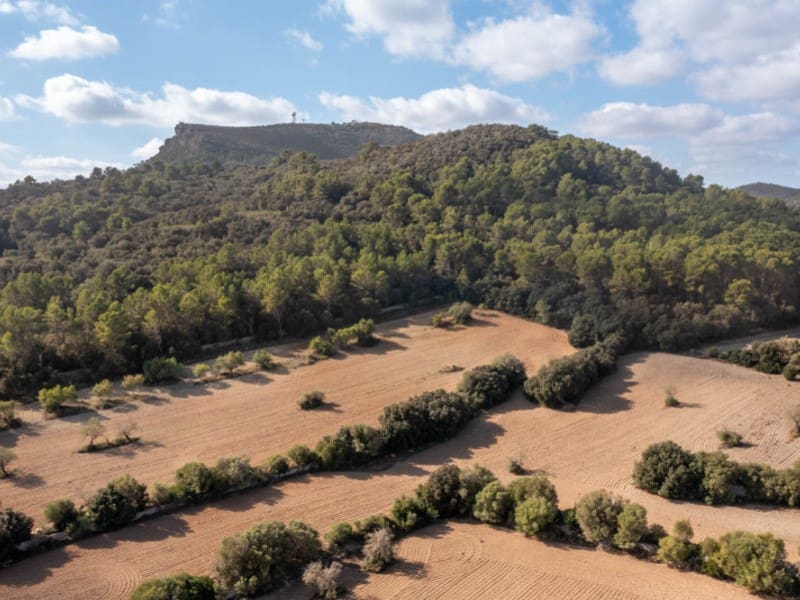 9 soveværelse Finca/Landehus til salg i Algaida - € 4.400.000 (Ref: 7842916)