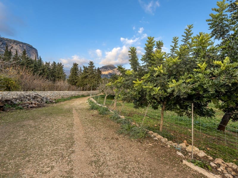 4 soverom Finca/Herregård til salgs i Alaro - € 6 500 000 (Ref: 8012169)