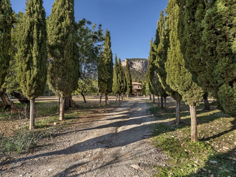 4 soverom Finca/Herregård til salgs i Alaro - € 6 500 000 (Ref: 8012169)