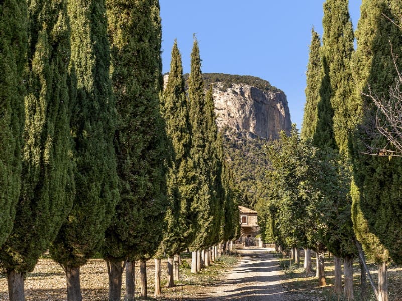 4 soverom Finca/Herregård til salgs i Alaro - € 6 500 000 (Ref: 8012169)