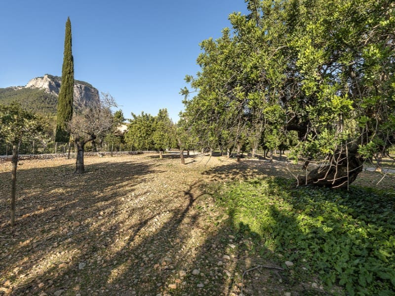 4 soverom Finca/Herregård til salgs i Alaro - € 6 500 000 (Ref: 8012169)